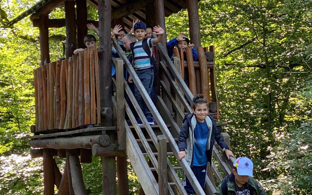 Ausflug zum Wildpark